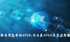 比特币钱包中的XPUB：什么是XPUB及其应用解读