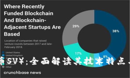 BSV（比特币SV）：全面解读其技术特点与市场前景