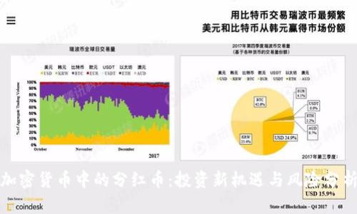 加密货币中的分红币：投资新机遇与风险分析