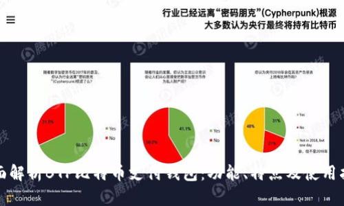 全面解析BTP比特币支付钱包：功能、特点及使用指南