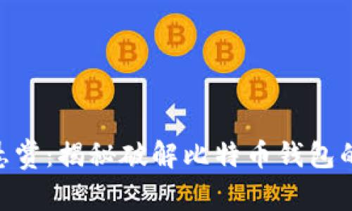 : 100万悬赏：揭秘破解比特币钱包的真实挑战