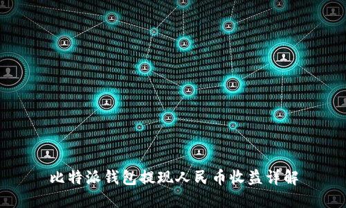 比特派钱包提现人民币收益详解