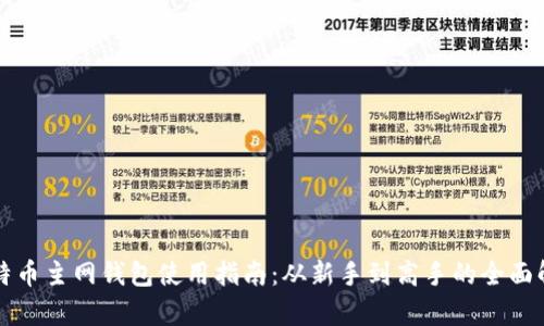 比特币主网钱包使用指南：从新手到高手的全面解析