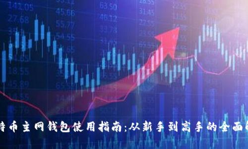 比特币主网钱包使用指南：从新手到高手的全面解析