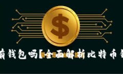 比特币必须有钱包吗？全面解析比特币钱包的重