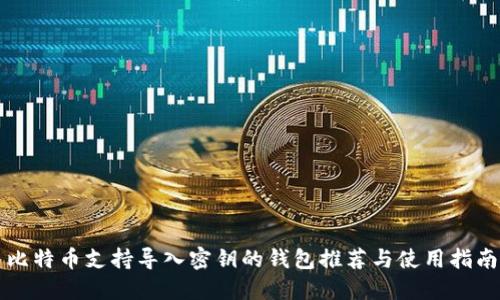 比特币支持导入密钥的钱包推荐与使用指南