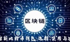 全面解析比特币钱包：选择、使用与安全性