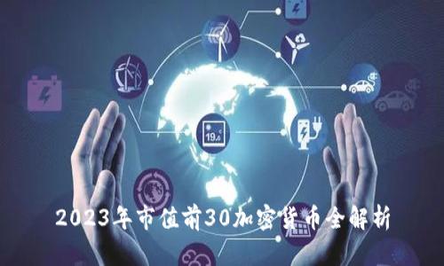 2023年市值前30加密货币全解析