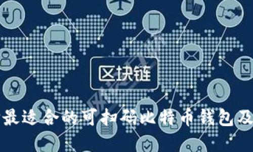 如何选择最适合的可扫码比特币钱包及使用指南