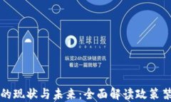 国内加密货币的现状与未来：全面解读政策禁令