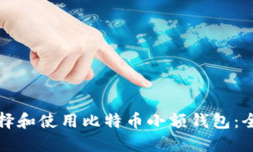 如何选择和使用比特币小额钱包：全面指南