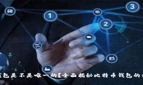 : 比特币钱包是不是唯一的？全面揭秘比特币钱包的种类与选择