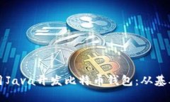 如何使用Java开发比特币钱包：从基础到实践