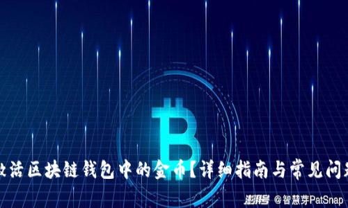 如何激活区块链钱包中的金币？详细指南与常见问题解答