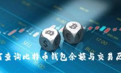如何查询比特币钱包余额与交易历史？