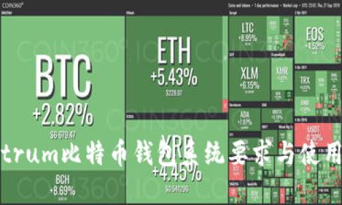 Electrum比特币钱包系统要求与使用指南
