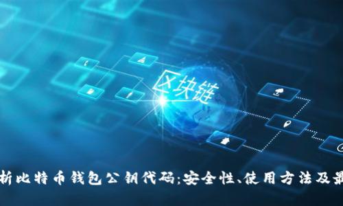 全面解析比特币钱包公钥代码:安全性、使用方法及最佳实践