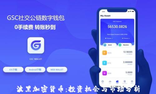 
波黑加密货币：投资机会与市场分析