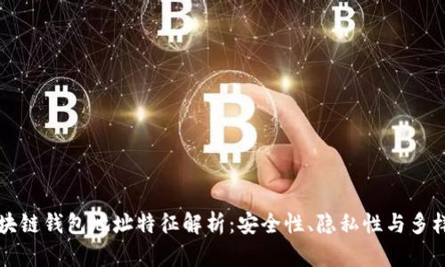区块链钱包地址特征解析：安全性、隐私性与多样性