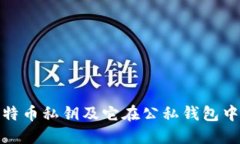 什么是比特币私钥及它在公私钱包中的重要性
