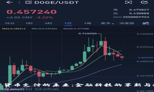 加密货币支付的未来：金融科技的革新与挑战