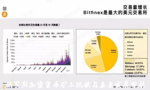 
俄罗斯加密货币矿工现状与未来发展分析