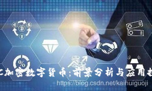 GCC加密数字货币：前景分析与应用探讨