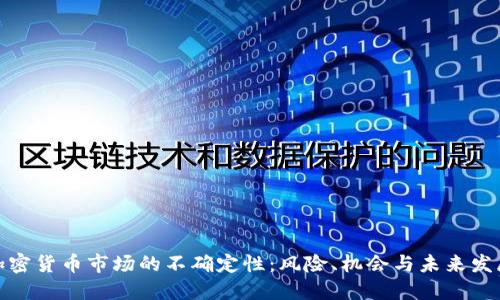 加密货币市场的不确定性：风险、机会与未来发展