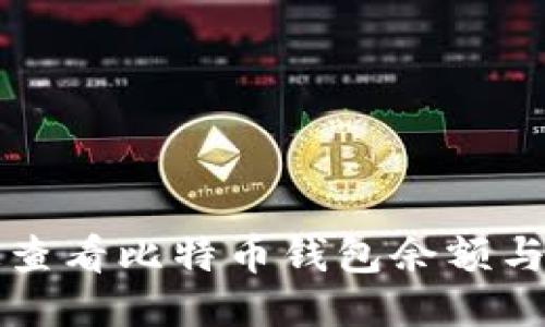 如何快速查看比特币钱包余额与交易记录