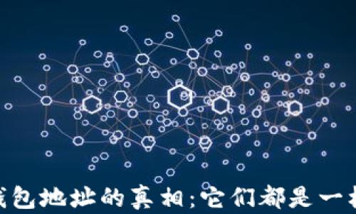 
USDT钱包地址的真相：它们都是一样的吗？