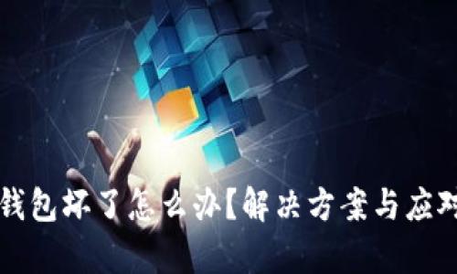 比特币硬件钱包坏了怎么办？解决方案与应对策略全解析