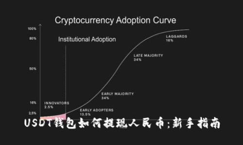 USDT钱包如何提现人民币：新手指南