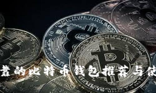 安全可靠的比特币钱包推荐与使用指南