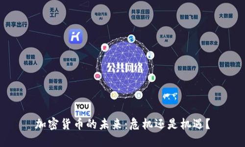加密货币的未来：危机还是机遇？