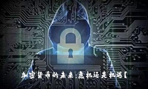 加密货币的未来：危机还是机遇？