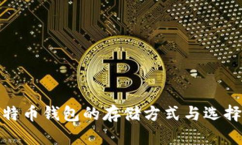 : 比特币钱包的存储方式与选择指南