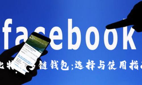 比特币多链钱包：选择与使用指南