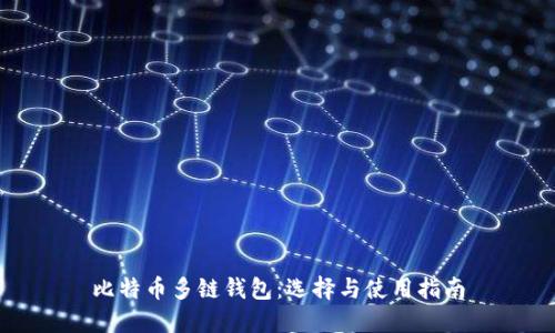 比特币多链钱包：选择与使用指南