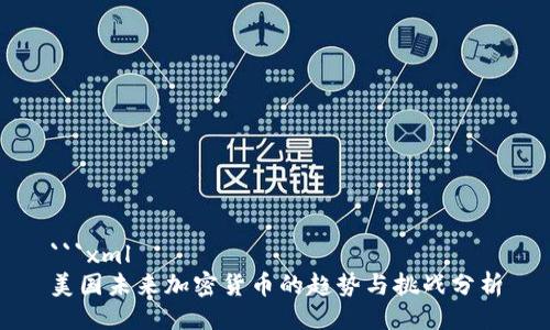 ```xml
美国未来加密货币的趋势与挑战分析