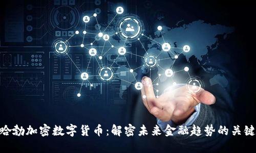 哈勃加密数字货币：解密未来金融趋势的关键