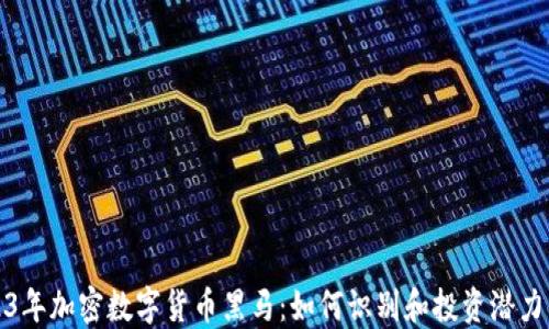 
2023年加密数字货币黑马：如何识别和投资潜力币种