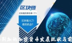 马达加斯加的加密货币发展现状与前景分析