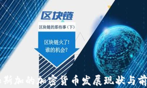 
马达加斯加的加密货币发展现状与前景分析