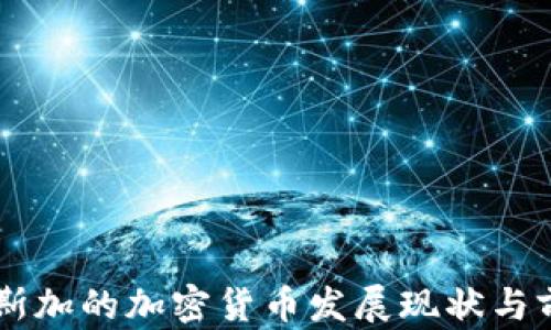 
马达加斯加的加密货币发展现状与前景分析