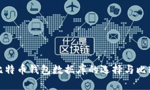 比特币钱包数据库的选择与比较