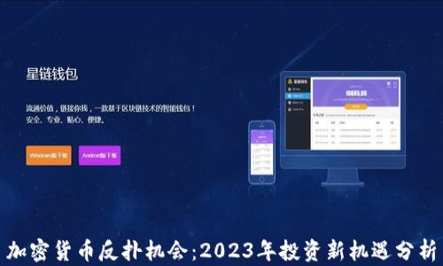 
加密货币反扑机会：2023年投资新机遇分析