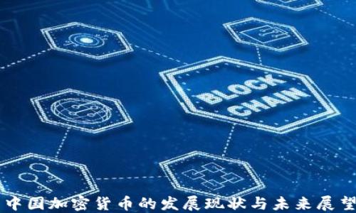 
中国加密货币的发展现状与未来展望