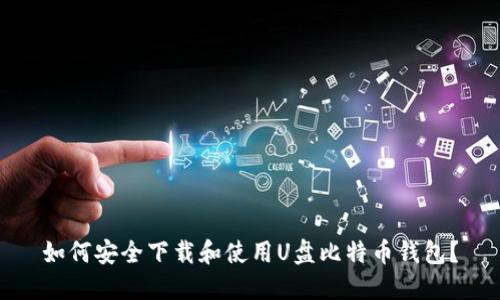 如何安全下载和使用U盘比特币钱包？