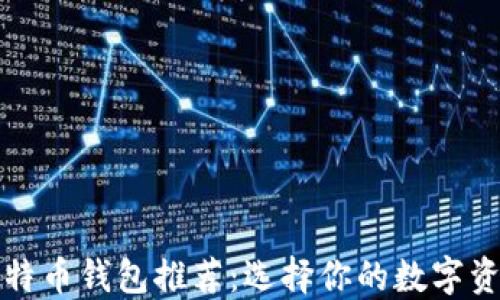 
最安全的比特币钱包推荐：选择你的数字资产保护神器