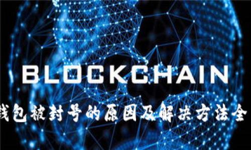 USDT钱包被封号的原因及解决方法全面解析